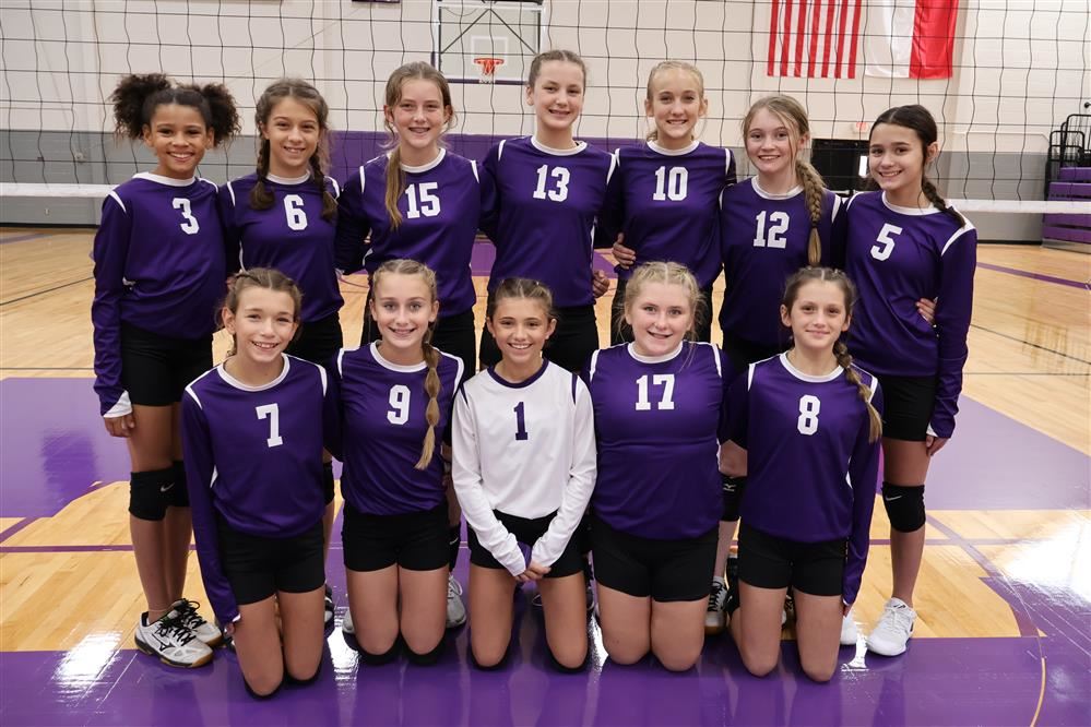 Picture of 7th grade volleyball purple team